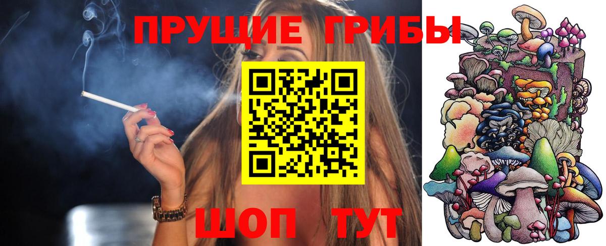 Каменка  Псилоцибиновые грибы мухоморы  Вход с VPN 