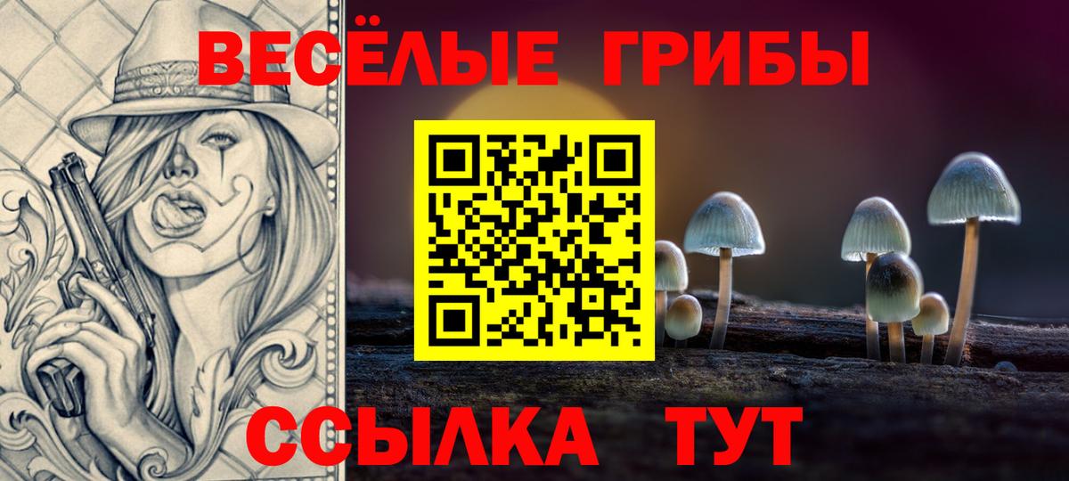 Галлюциногенные грибы мухоморы Каменка